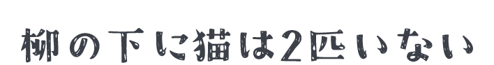 柳の下に猫は2匹いない